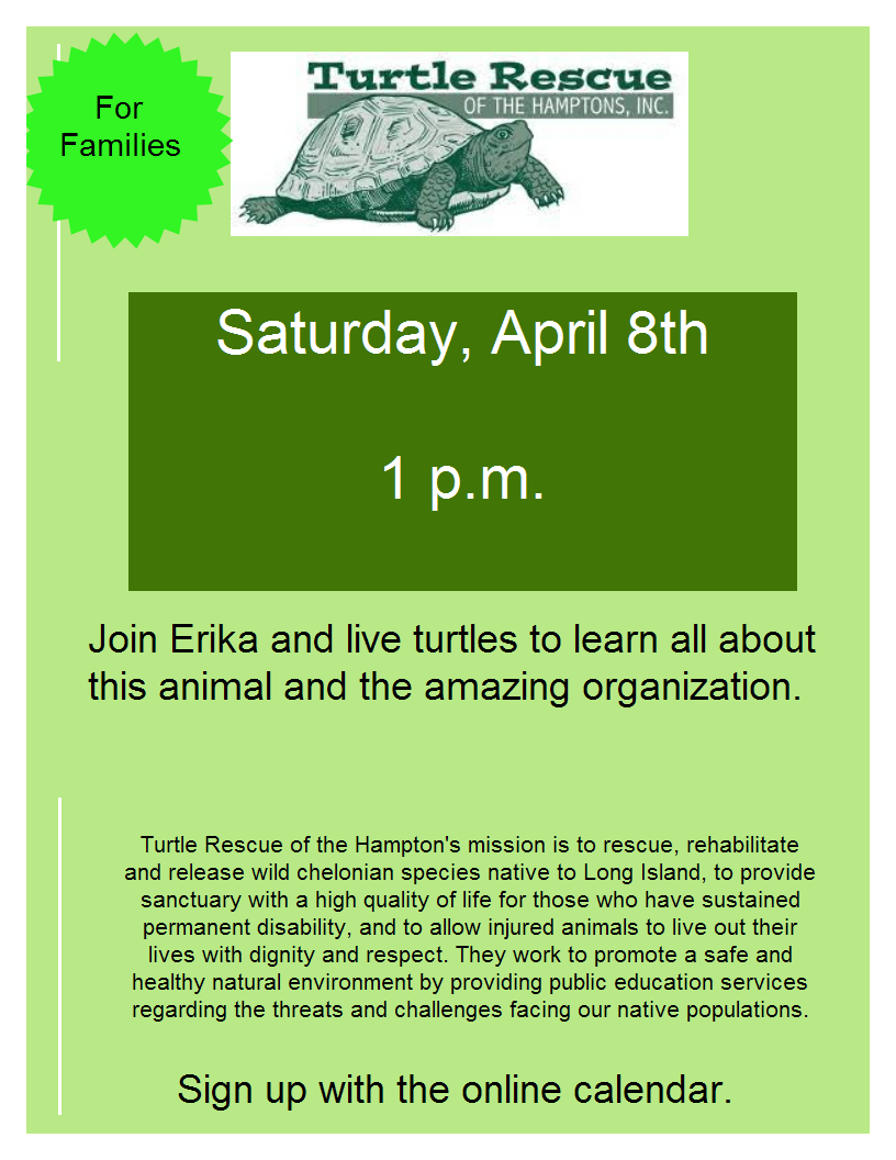 Join Erika and learn all about turtles